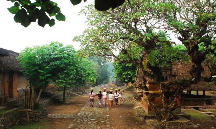 Desa Wisata Tenganan Pegringsingan Bali